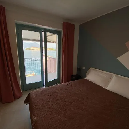 Butterfly On The Apartment