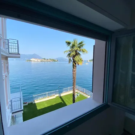 Apartment Butterfly On The