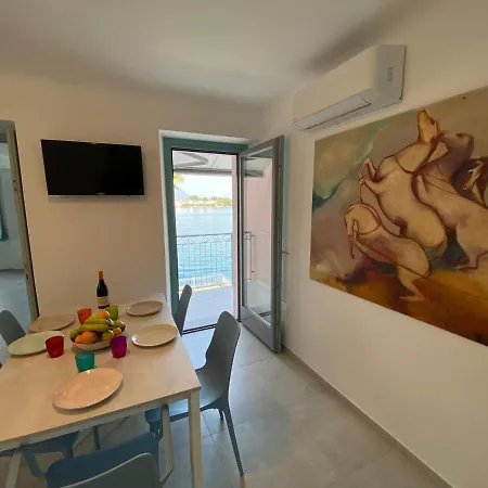 Butterfly On The Apartment