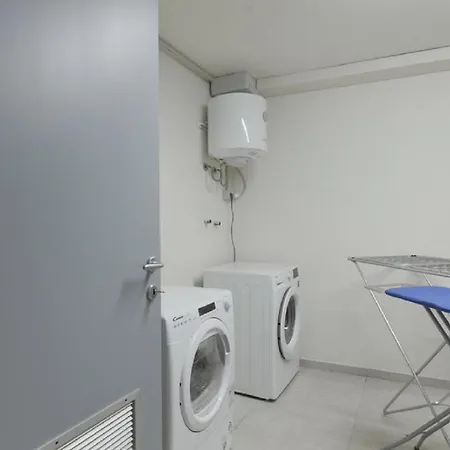 Butterfly On The Appartement *